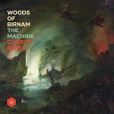 Woods of Birnam Charity - The Machine Charity Remix