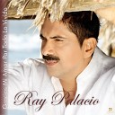 Ray Palacio - Gracias Mi Amor por Todo lo Vivido