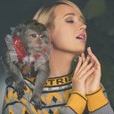 Клава Кока - Dance Monkey Tones and I yaroo5 Cover