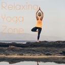 Hatha Yoga Music Zone Calm Music Masters - Healthy Soul