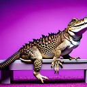 MUSA PAID TYPE - Alligator