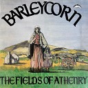 Barleycorn - God Save Ireland