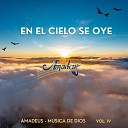 Grupo Musical Amadeus - En el Cielo Se Oye el Granito de Mostaza