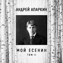 Андрей Апаркин - Чую радуницу Божью