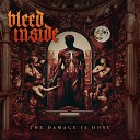 Bleed Inside - The Damage is Done