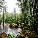 Qludart - Swampy