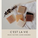 Music Factory Alexei Shkurko - C est La Vie Radio Edit