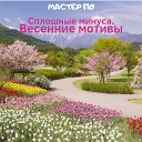 Мастер По - Выпускной Minus