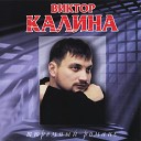 Виктор Калина - Виктор Калина Жизнь…