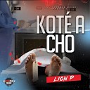 LION P - Kot a cho