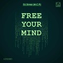 DJ Stress M C P - Free Your Mind