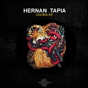 hernan tapia - Doors Misinki Remix