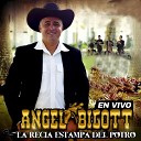 Angel Bigott - Los Guayabos de un Llanero En Vivo