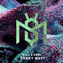 W D L NOBE - Funky Way
