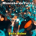 Maninho do Forr - Bora Beber Cover