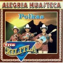 Trio Alegria Huasteca - Una Noche en Apodaca