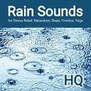 Rain Sounds Nature Sounds Rain Sounds by Lukas… - Calming Sounds for Sleep