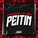 DJ PBEATS DJ Braga Oficial mc morena - Pegando no Meu Peitin