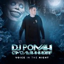 DJ Роман Смольяниноff - Voice in the Night