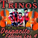 Los Trinos - Tu Olvido