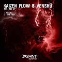 Kaizen Flow Vensh - I Saw Them