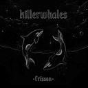 killerwhales - Frisson