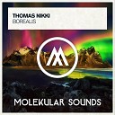 Thomas Nikki - Borealis Extended Mix