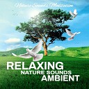 Nature Sounds Meditation - Calm Down with Nature