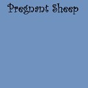 Blue Midnight - Pregnant Sheep