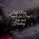 Chakra Balancing Sound Therapy Rain Spa Meditation Relaxation… - Beautiful Bird Song