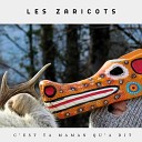 Les Zaricots - La valse Balfa
