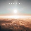 The Healing Project Schola Camerata - Soothing Classical Flute Vol 2