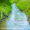 Steve Brassel - Calming Small River Trickle Ambience Pt 3