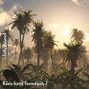 Steve Brassel - Rainy Forest Serendipity Pt 3