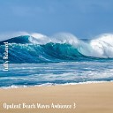 Steve Brassel - Opulent Beach Waves Ambience Pt 19