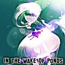 Charlie Levitt - In The Wake Of Ponds