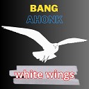 Bang Ahonk - Money Hunting