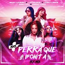 Seidy La Ni a Liz La Diva Baby Ley Sweet Coco feat Thaly… - M s Perra Que Bonita Remix