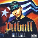 E D I K K G Z - Pitbull ft Lil Jon 305 Ant