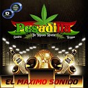 Grupo Pesadilla de Moises Revilla feat DJ Ediee Cris… - Yo Te Quiero