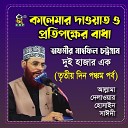 Allama Delwar Hossain Sayedee - Kalemar Dawat O Protipokkher Badha