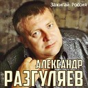 Александр Разгуляев - Краснодарский ДПС