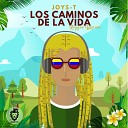 joys T - Los Caminos de la Vida Versi n Reggae