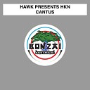 Hawk Presents HKN - Cantus Original Mix