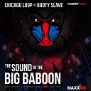 Chicago Loop vs Booty Slave - Detroit Zoo Remix