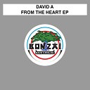 David A - From The Heart