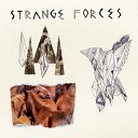 Strange Forces - Soul Window