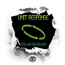 Unit Response - Ornament 2