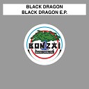 Black Dragon - Lost Culture