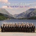 Arthur Davies Cantorion Colin Jones Colin… - My Dreams Live
